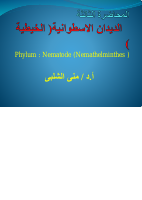 م3 (1).pdf